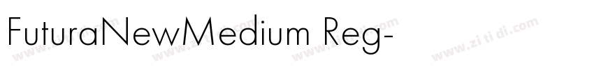 FuturaNewMedium Reg字体转换